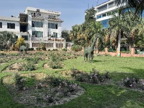 kamal